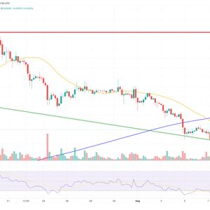 XRP Price Prediction as SEC Files Interlocutory Appeal Against Ripple – What's Going On?