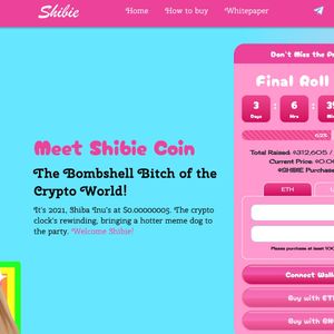 Shiba Inu-Barbie Meme Coin Shibie to Sell Out in 72 Hours or Less With Under $200k Left in Presale