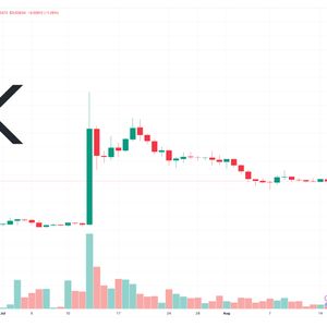 XRP Price Prediction as $800 Million Trading Volume Floods In – Are Whales Buying the Dip?