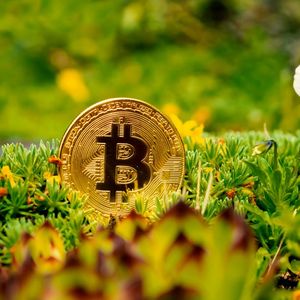 Understanding Blockchain's Eco-Friendly Shift: Five Steps to Clarify Energy Concerns