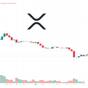 XRP Price Prediction as Market Sell-Off Sends XRP Back to $0.50 Zone – Here are Key Levels to Watch Now
