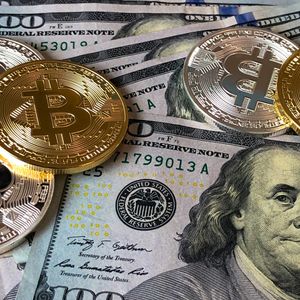 Citi Bank Report: Most Global Security Firms Back CBDCs For Faster Payments