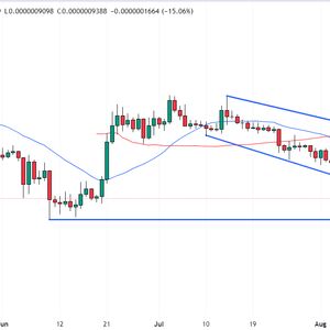 Pepe Coin Price Prediction as PEPE Slumps 15% Amid FUD Over Strange Multisig Changes