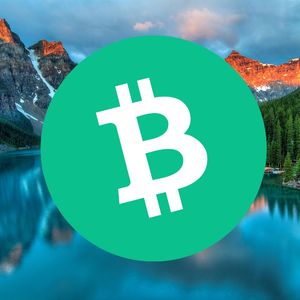 Is Bitcoin Cash is Going to Zero? BCH Price Drops 5% and Sonik Coin Approaches $700,000