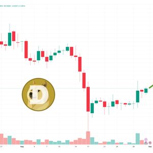 Dogecoin Price Prediction as Robinhood Adds DOGE Swaps – Adoption on the Rise?