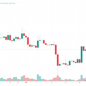 Bitcoin Cash Price Prediction as BCH Rockets Up 15% – Are Whales Choosing BCH Over BTC?