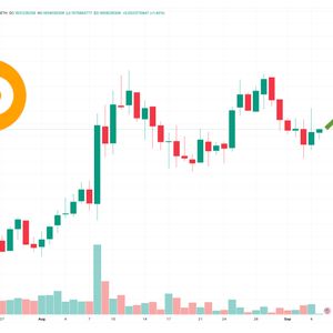 Rollbit Price Prediction as Largest Crypto Casino Competitor Stake Gets Hacked – Will Whales Move to RLB?