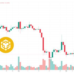 Binance Coin Price Prediction as BNB Overtakes XRP to Become 5th Largest Coin in the World – Can BNB Reach $1,000?