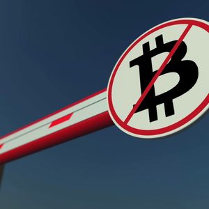 Joint IMF and FSB Report Warns Against Total Crypto Bans