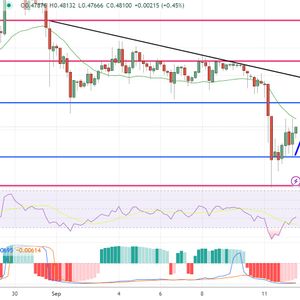 XRP Price Prediction as XRP Drops 1.2% in 24 Hours – Time to Buy the Dip?