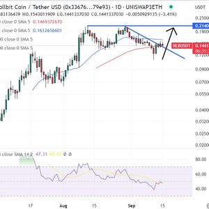 Rollbit Price Prediction as RLB Slides 5% in 24 Hours – Will Whales Buy the Dip?
