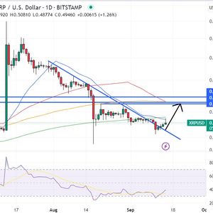 XRP Price Prediction as Ripple Labs Opens Up Liquidity Hubs in Brazil and Australia – Adoption on the Rise?