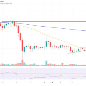 Dogecoin Price Prediction as NYDFS Removes DOGE From Greenlist – What's Going On?