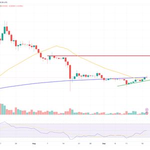 XRP Price Prediction as Market Bounce Sends XRP Up 8% – Is a New Bull Rally Starting?
