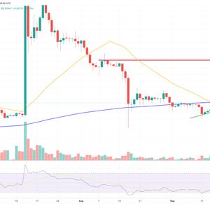 XRP Price Prediction as XRP Overtakes USDC and Becomes Top 5 Coin in the World – Can XRP Reach $100?