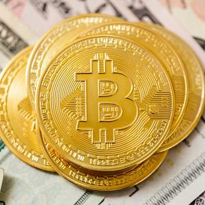 Bitwise Draws Close to Spot Bitcoin Fund Approval With Latest Academic Record