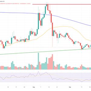 Shiba Inu Price Prediction: SHIB Price Going Nowhere. Is it Dead In the Water?