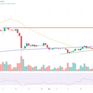 XRP Price Prediction as XRP Trading Volume Exceeds BNB. Can XRP Top $1 Before End of 2023?