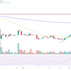 Dogecoin Price Prediction as DOGE Becomes Top 10 Crypto in the World – Is $1 DOGE Possible in 2023?