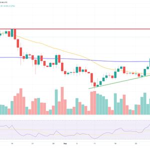 Solana Price Prediction as $1 Billion Trading Volume Sends SOL Flying Up 25% – Are Whales Buying?