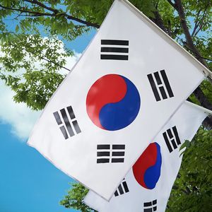 South Korean Overseas Crypto Holding Figures 'May Be Inflated': Report