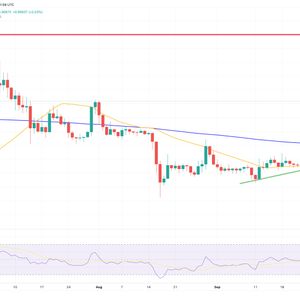 Bitcoin SV Price Prediction as BSV Outperforms Bitcoin – Are Whales Now Moving to BSV?