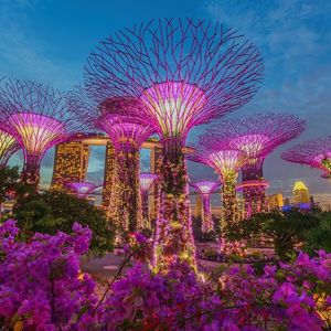 Sygnum Singapore Obtains Major Payment Institution License for Crypto Brokerage Services