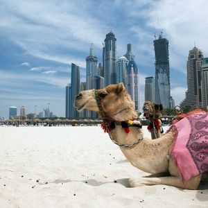 Dubai Regulator Halts Sale and Distribution of Islamic Coin – What's Going On?