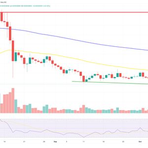 Shiba Inu Price Prediction as SHIB Could Skyrocket to $0.00003000 – Will History Repeat Itself with an 822% October Surge?