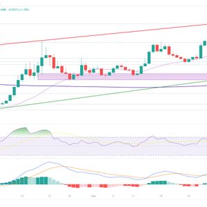 Is It Too Late to Buy THORChain? RUNE Price Spikes Up 12% as Telegram Crypto Casino Project Approaches $1 Million – How to Buy Early?
