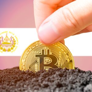 El Salvador's Vice-President Attributes Country's Economic Rebirth to Bitcoin Adoption