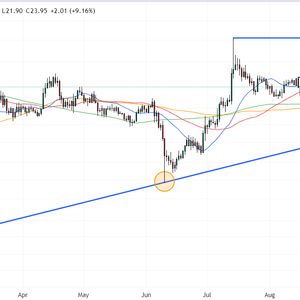 Solana Price Prediction as SOL Pumps Up 10% on Spot Bitcoin ETF and FTX Estate Staking Optimism
