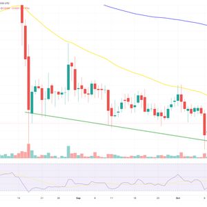 Dogecoin Price Prediction as DOGE Becomes Top Meme Coin in the World – Can DOGE Reach $10 in 2024?