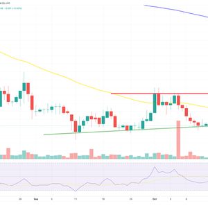 Cardano Price Prediction as ADA Overtakes Dogecoin in Coin Rankings – Can ADA Keep Rising?