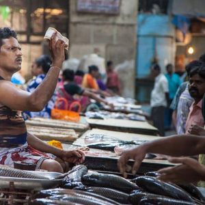 Indian Banks Offer Rewards to Encourage Digital Rupee Adoption