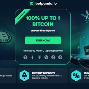 Betpanda Review, Bonuses & Promo Codes 2023