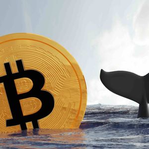 Bitcoin Wallets Holding Over $1K Surge to 8M, Setting New Record