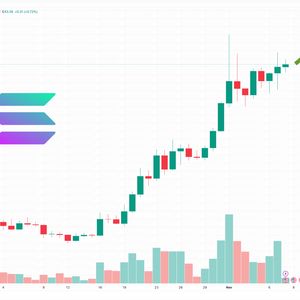 Solana Price Prediction as SOL Approaches $50 – Here are Key Levels to Watch Next