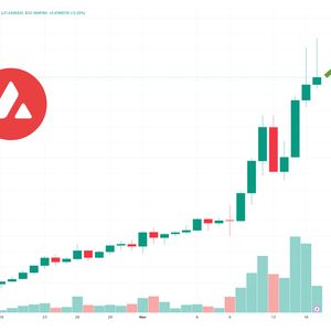 Is It Too Late to Buy Avalanche? AVAX Price Surges 70% as a New Telegram Casino Project Launch Approaches