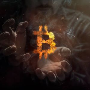 Bitcoin Ordinals Project Taproot Wizards Raises $7.5 Million in Seed Funding