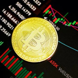 Best Crypto to Buy Now In 2024