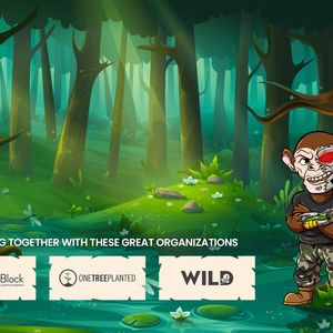 Saving the Planet, One Token at a Time: The Inspiring Vision Behind Chimpzee