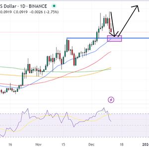 Dogecoin Price Prediction as ‘Excess Bullish Leverage’ Leads to Sharp Drop – Is the Market Resetting?