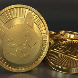 Market Spotlight: The Emerging Challenger Set to Outpace Shiba Inu and PEPE in the Meme Coin Realm