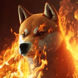 Is Bonk Going to Zero? BONK Price Instantly Drops 20% as Attention Moves to New Meme Coin (mk)