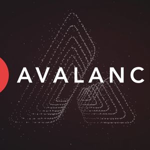 Avalanche Foundation Dives into Memecoin Market with $100 Million NFT Initiative