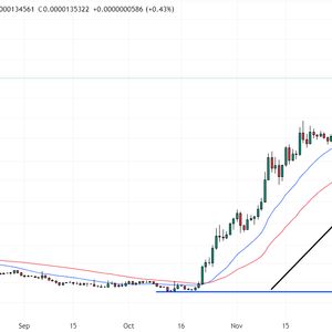 Bonk Price Prediction as BONK Dumps 10% – Can It Bounce At Key $0.0000125 Support?