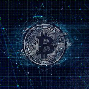 User Spends $64,000 in Fees to Encode 9 Megabytes of Data on Bitcoin Blockchain