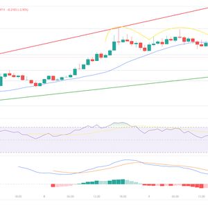 Dymension Price Doubles After Airdrop as New Meme Coin Surges to $8.8 Million in Funding