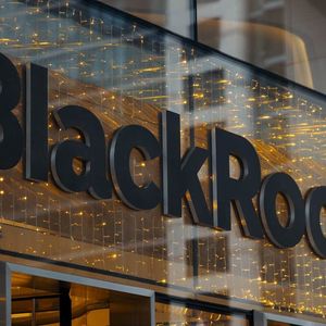 BlackRock Bitcoin ETF Sees Record $750 Million Inflows – What’s Going On?